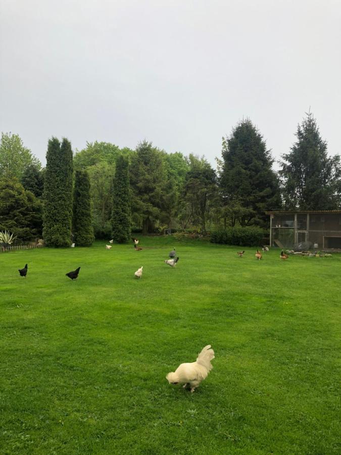 Agroturystyka Nad Stawami Szemud Екстериор снимка