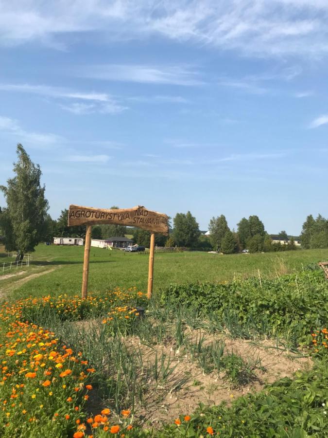 Agroturystyka Nad Stawami Szemud Екстериор снимка